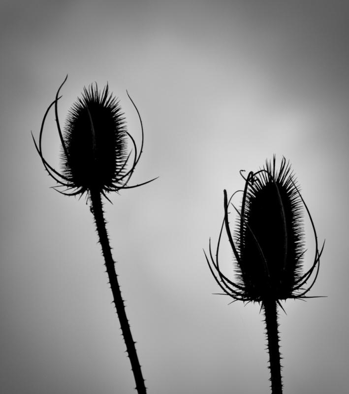 00B_6362 LMNR