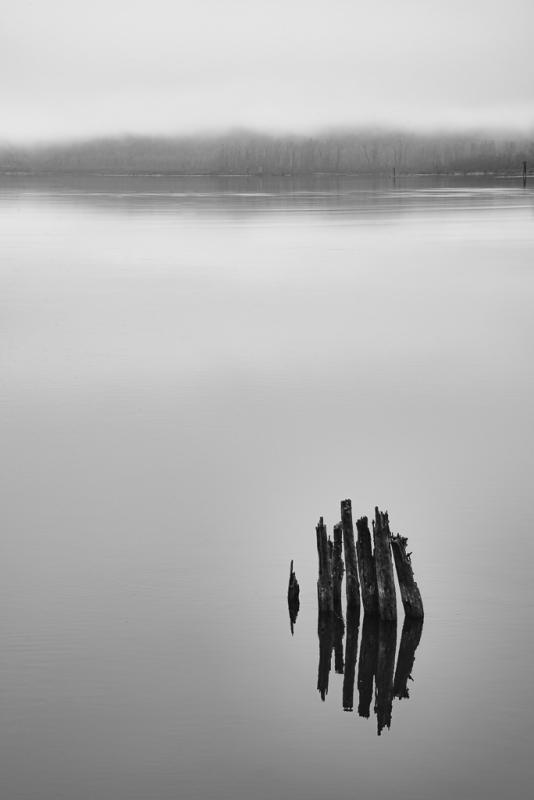 00D_5610